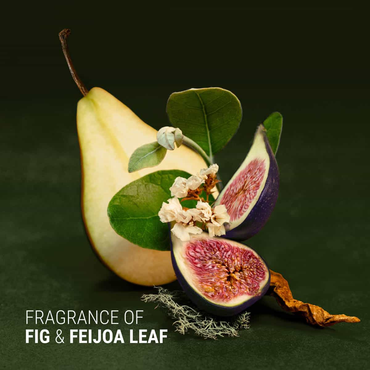 Fig + Feijoa Repair & Nourish Conditioner